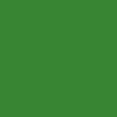 Peinture gazon, pelouse, végétation : ARCAGREEN - 1 L Vert - ARCANE INDUSTRIES