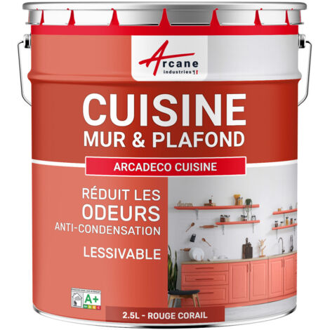 Peinture cuisine, lessivable, absorbe les odeurs - 2.5 L Rouge corail - RAL 3016 - ARCANE INDUSTRIES (1/5)