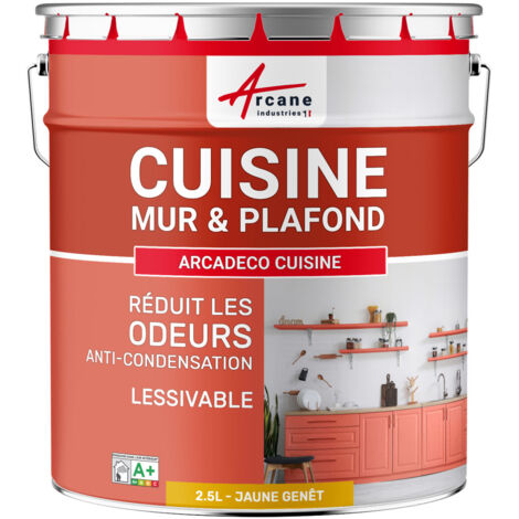 Peinture cuisine, lessivable, absorbe les odeurs - 2.5 L Jaune Genêt - RAL 1032 - ARCANE INDUSTRIES