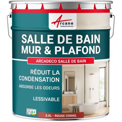 Peinture salle de bain, mur et plafond, condensation - 2.5 L Rouge corail - RAL 3016 - ARCANE INDUSTRIES (1/5)