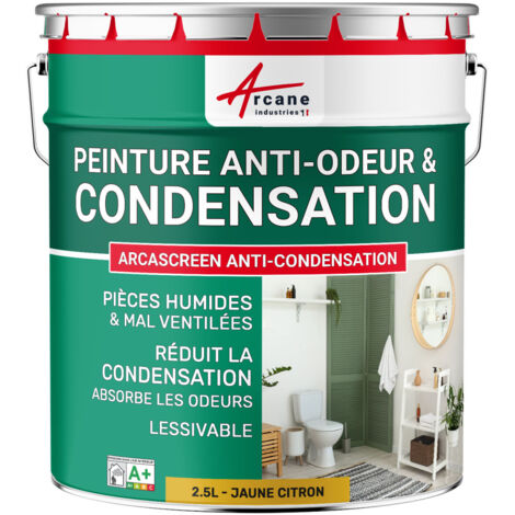 Peinture anti condensation, anti odeur, moisissure - 2.5 L Jaune citron - RAL 1012 - ARCANE INDUSTRIES