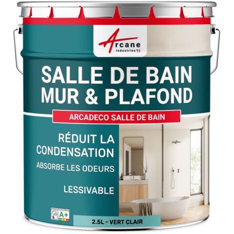 Peinture salle de bain, mur et plafond, condensation - 2.5 L Vert clair - RAL 6027 - ARCANE INDUSTRIES (1/5)