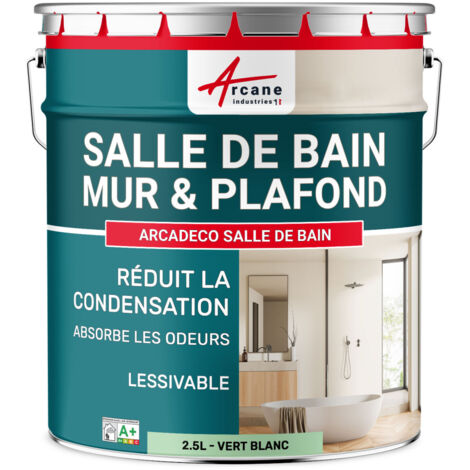 Peinture salle de bain, mur et plafond, condensation - 2.5 L Vert Blanc - RAL 6019 - ARCANE INDUSTRIES