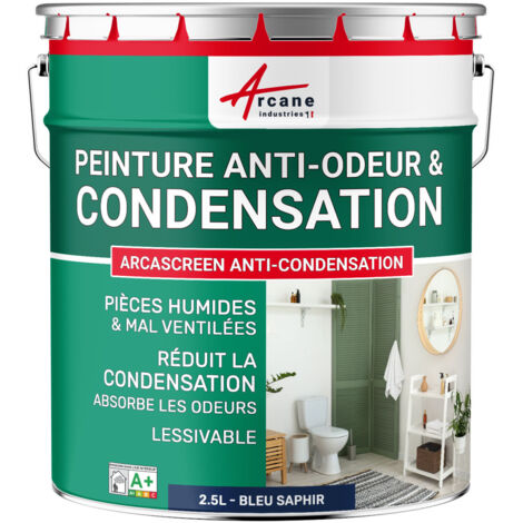 Peinture anti condensation, anti odeur, moisissure - 2.5 L Bleu saphir - RAL 5003 - ARCANE INDUSTRIES