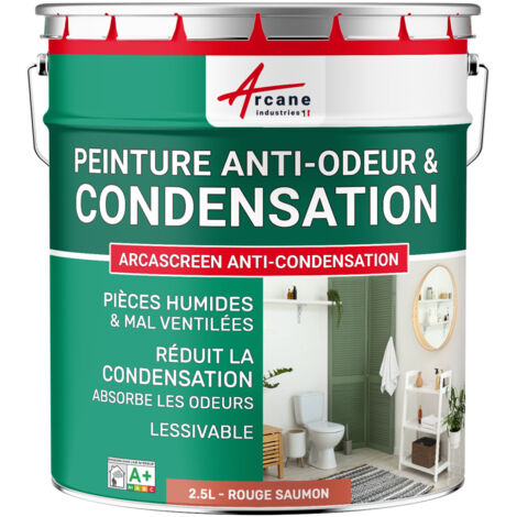 Peinture anti condensation, anti odeur, moisissure - 2.5 L Rouge saumon - RAL 3022 - ARCANE INDUSTRIES