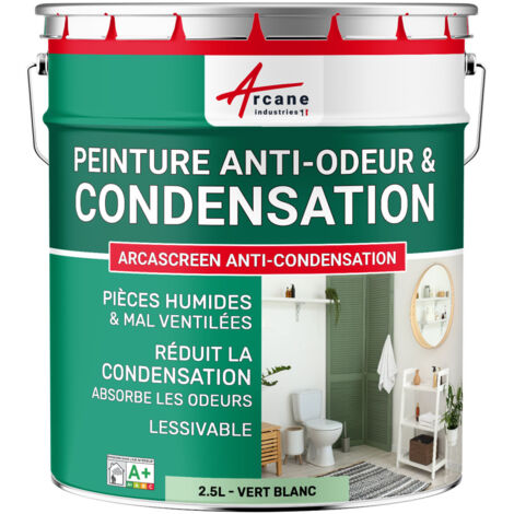 Peinture anti condensation, anti odeur, moisissure - 2.5 L Vert Blanc - RAL 6019 - ARCANE INDUSTRIES