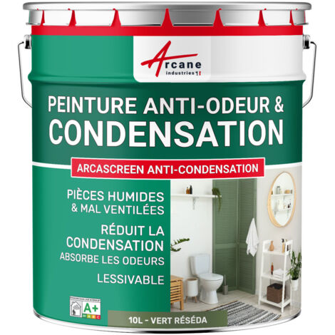 Peinture anti condensation, anti odeur, moisissure - 10 L Vert Réséda - RAL 6011 - ARCANE INDUSTRIES (1/5)