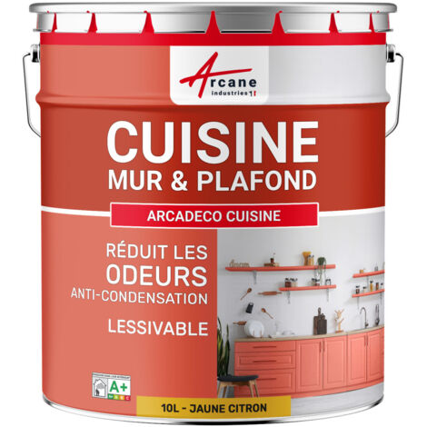 Peinture cuisine, lessivable, absorbe les odeurs - 10 L Jaune citron - RAL 1012 - ARCANE INDUSTRIES (1/5)
