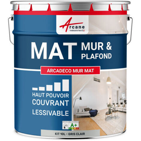 Peinture murale, mat blanche - 10 L Gris Clair - RAL 7035 - ARCANE INDUSTRIES (1/5)