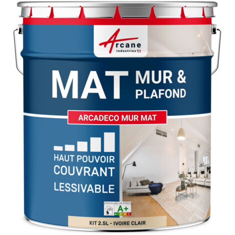Peinture murale, mat blanche - 2.5 L Ivoire Clair - RAL 1015 - ARCANE INDUSTRIES (1/5)