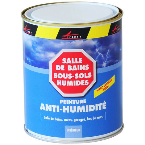 Peinture Pour Forte Humidite