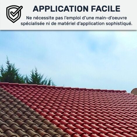 Étanchéité Toiture : Peinture ARCAFILM - Résine Etanchéité pour Tuile - ARCANE INDUSTRIES - 10 L Tuile - ARCANE INDUSTRIES