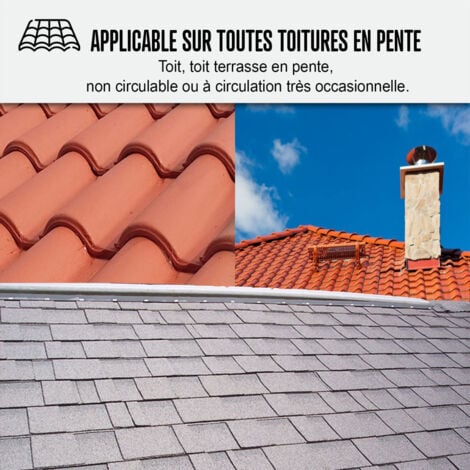 Étanchéité Toiture : Peinture ARCAFILM - Résine Etanchéité pour Tuile - ARCANE INDUSTRIES - 10 L Tuile - ARCANE INDUSTRIES