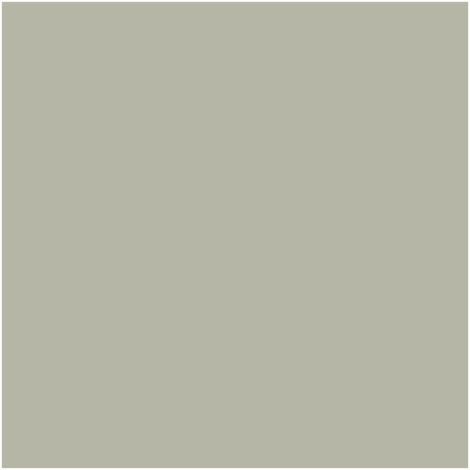 Peinture chaux naturelle : peinture sans émanation MINERALIS - 15 m² (2.5 kg en 1 couche) Tilleul Gris Vert - ARCANE INDUSTRIES
