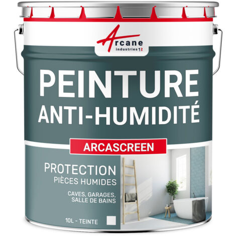 Arcane Industries – Peinture anti humidité microporeuse pour murs en plâtre et béton – Finition mate – 10 L pour 40 m² – Protection contre moisissures et salpêtre