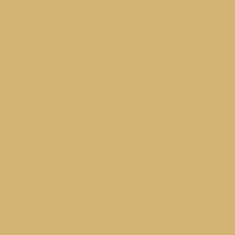 Peinture, bitume, goudron, asphalte, macadam, résine, sol, extérieur, béton, enrobé, rénov, décoration : Arcasphalt - 3.75 kg  (jusqu a 7.5 m² en 2 couches) Marron Clair - ARCANE INDUSTRIES