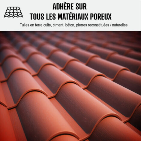 Hydrofuge Toiture, imperméabilisant toiture et tuiles incolore - IMPERTOITURE HYDRO - 5 L (jusqu'à 25 m²)  - ARCANE INDUSTRIES