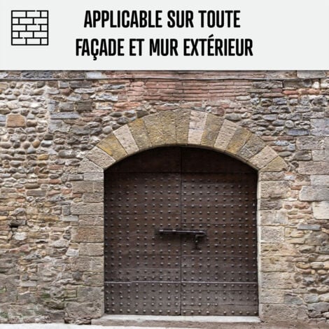 Nettoyant facade, produit professionnel, rapide, crépi, enduit - 20 L  - ARCANE INDUSTRIES
