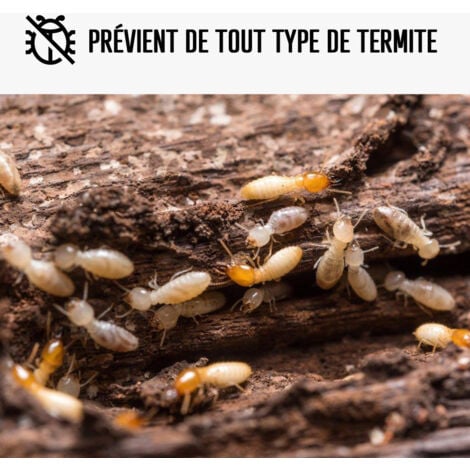 Traitement anti termite, charpente et poutre - 20 L  - ARCANE INDUSTRIES