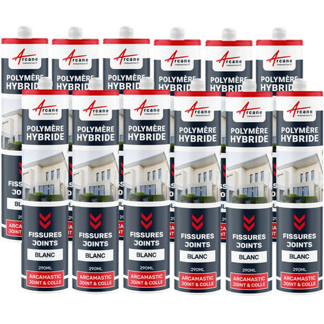 Mastic d'étanchéité, joint extérieur, fissure, béton - 290 ml x 12 Blanc - ARCANE INDUSTRIES