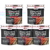 Etanchéité toiture : peinture arcafilm, résine etanchéité pour tuile : Arcane industries - Offre Spéciale : 5 x 10L Brun - ARCANE INDUSTRIES