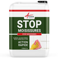 Arcane Industries – Nettoyant anti moisissure pour murs et plafonds – Élimine taches noires et humidité – Action ultra rapide – 5 L
