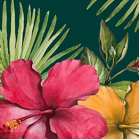 Papier peint fleurs d hibiscus