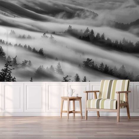 Papier peint brume du matin papier peint (1/5)