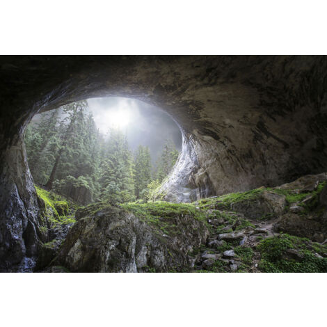 Tableau coup d'oeil au paradis Tableau alu Dibond (1/5)