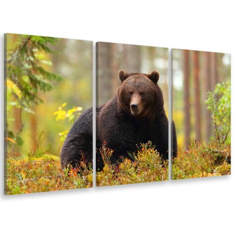 Tableau triptyque animaux ours brun en chasse - 90x60 cm (1/5)