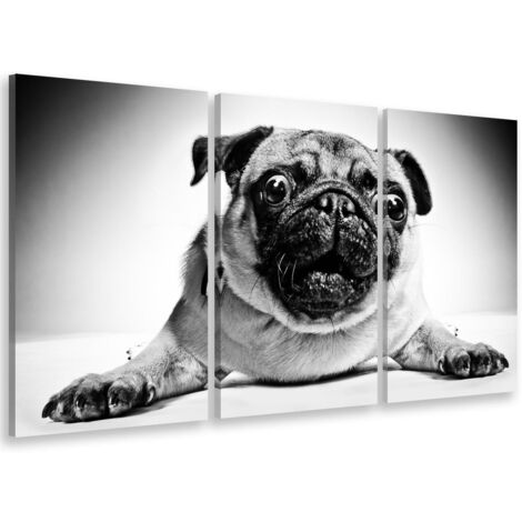 Tableau triptyque animaux carlin en noir et blanc - 90x60 cm (1/5)