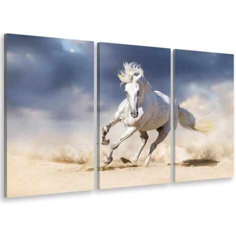 Tableau triptyque animal le cheval blanc - 90x60 cm (1/5)