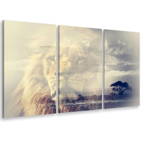Tableau triptyque animaux reflet du roi lion - 90x60 cm (1/5)