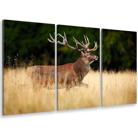 Tableau triptyque animaux cerf se promenant - 90x60 cm (1/5)