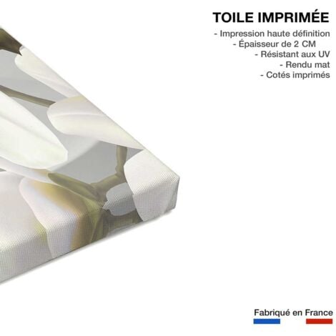 Tableau fleurs blanches et scintillement - 80x50 cm