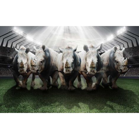 Tableau sport rhinos rugby club - 80x50 cm (1/5)