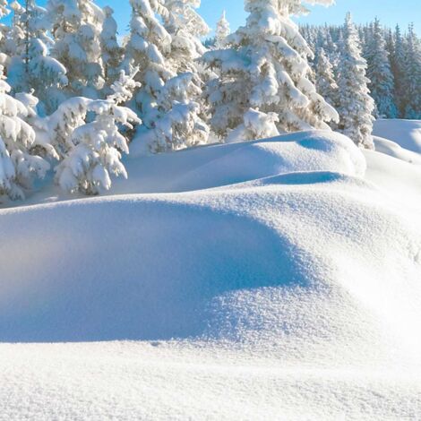 Tableau montagne trace dans la neige fraiche , 90x60cm