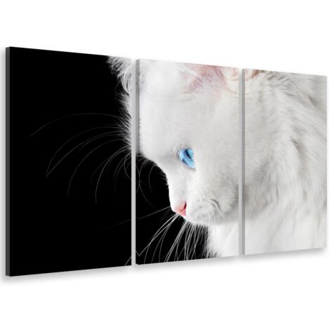 Tableau triptyque Tableau photo angora aux yeux bleus - 90x60 cm (1/5)