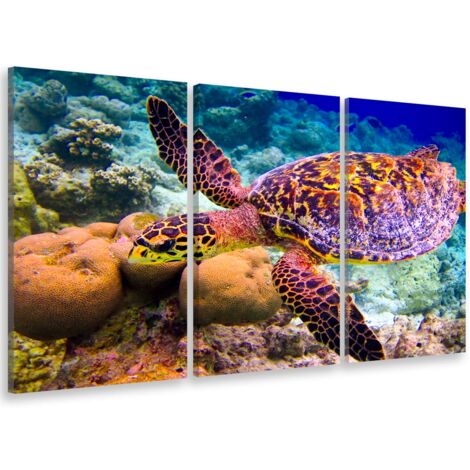 Tableau triptyque Tableau photo tortue et fonds marins - 90x60 cm (1/5)