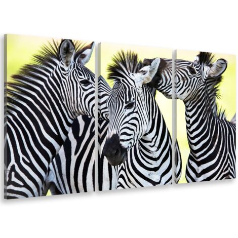 Tableau triptyque Tableau photo trio de zebre - 90x60 cm (1/5)