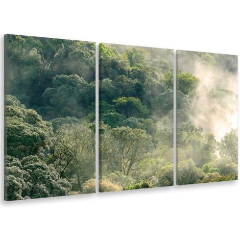 Tableau triptyque paysage forêt dans la lumière matinale - 90x60 cm (1/5)