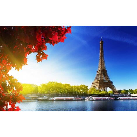 Tableau paris, 80x50cm (1/5)