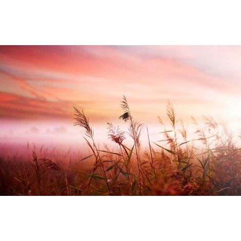 Tableau photo paysage champ de blé au coucher, 80x50cm (1/5)