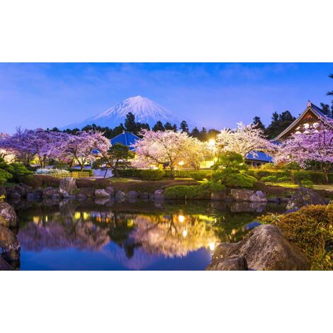 Tableau paysage mt fuji et temples au printemps - 80x50 cm (1/5)