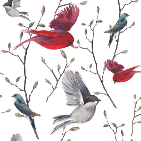 Tableau deco oiseaux illustrés - 50x50 cm (1/5)