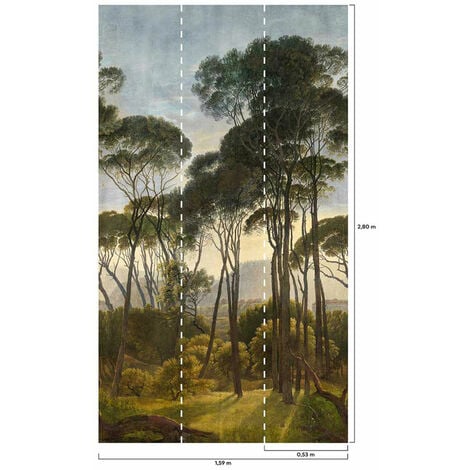 Papier peint décor nature 159x280cm