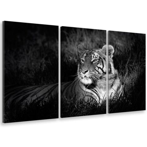 Tableau triptyque Tableau photo tigre au repos - 90x60 cm (1/5)