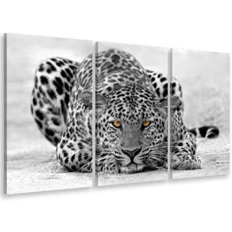 Tableau triptyque Tableau photo guépard en chasse - 90x60 cm (1/5)