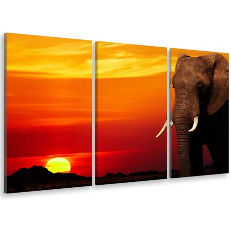 Tableau triptyque deco eléphant et ivoire au coucher du soleil - 90x60 cm (1/5)