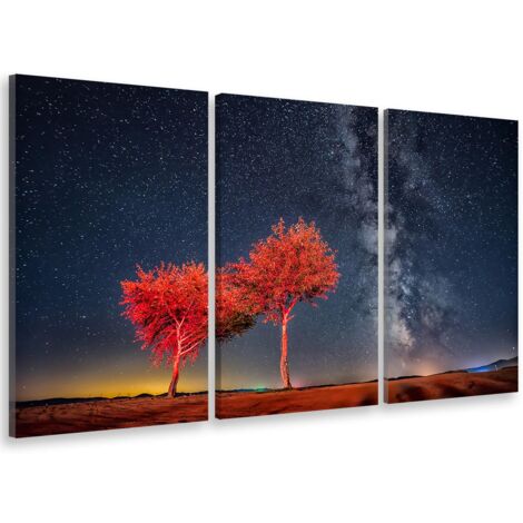Tableau triptyque paysage beautiful clear starry sky - 90x60 cm (1/5)